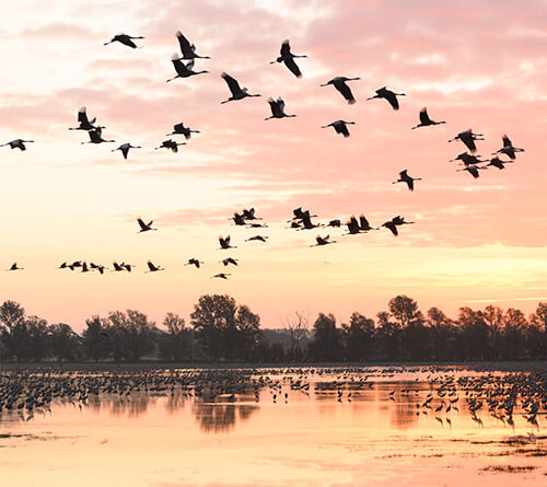 Трендові кольори 2022 - 