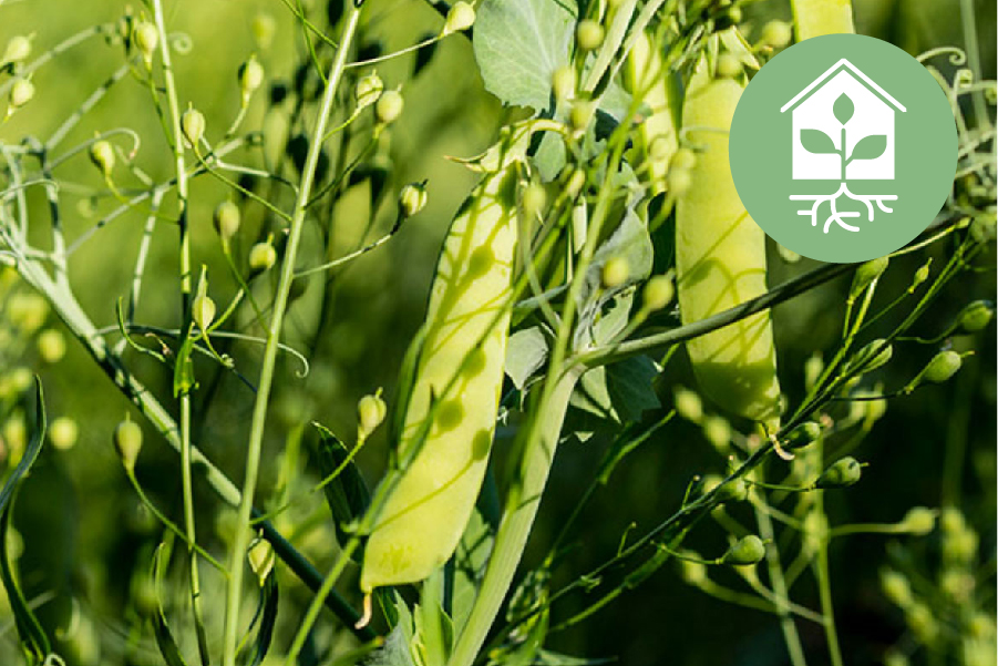 Сталі принципи сьогодні - гарантія добробуту майбутніх десятиліть